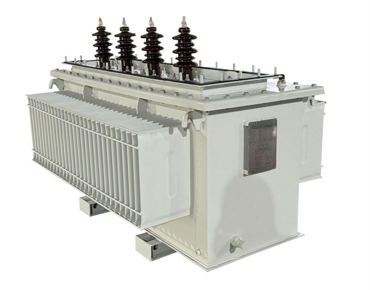 370 KVA Earthing Transformer-22/0.11 KV | South Africa 2024 suppliers